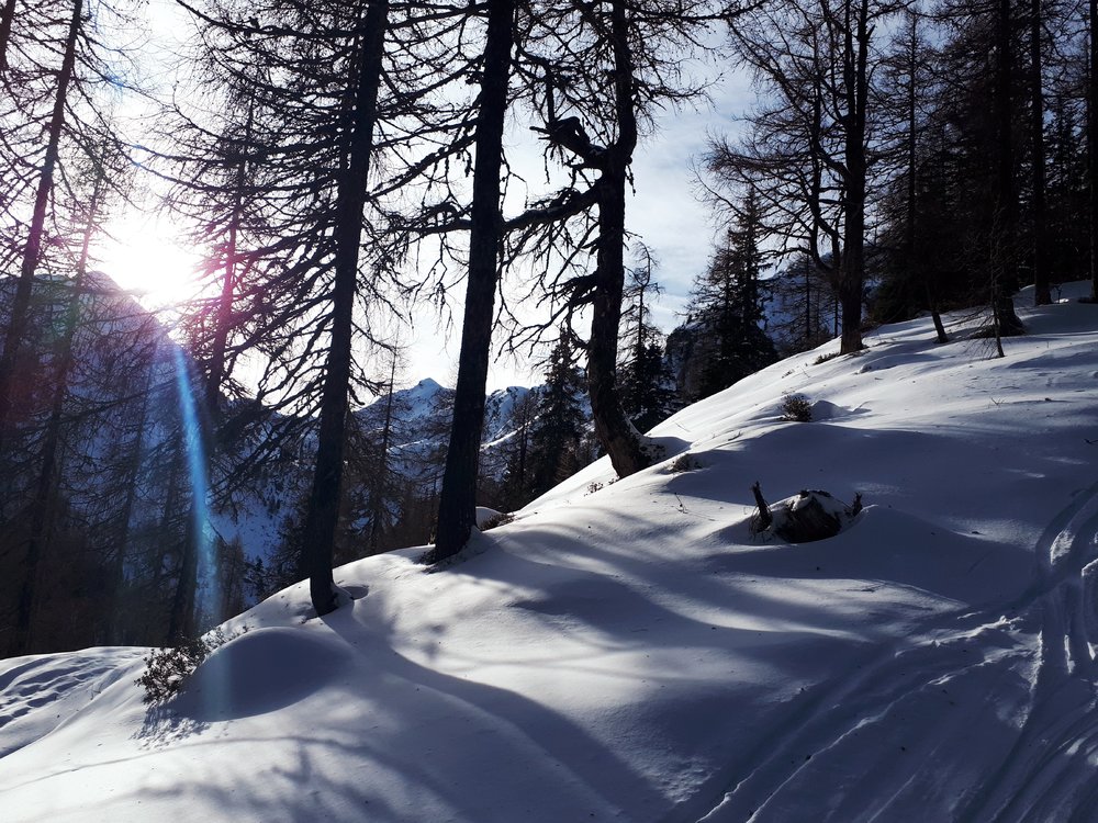 20191215_101423.jpg