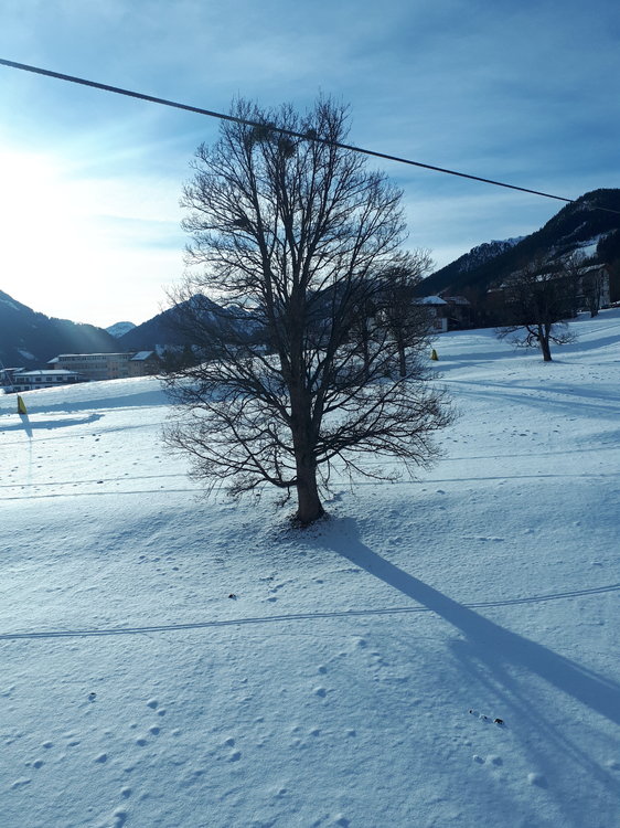 20191216_103046.thumb.jpg.f887370e6fad118d2fdee690014064e5.jpg