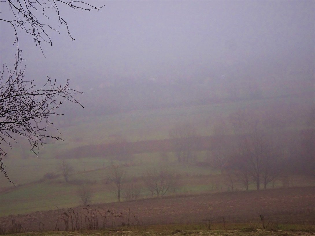 DSC02257.thumb.JPG.690f20ef50528d94648423b4e0fd4cb6.JPG