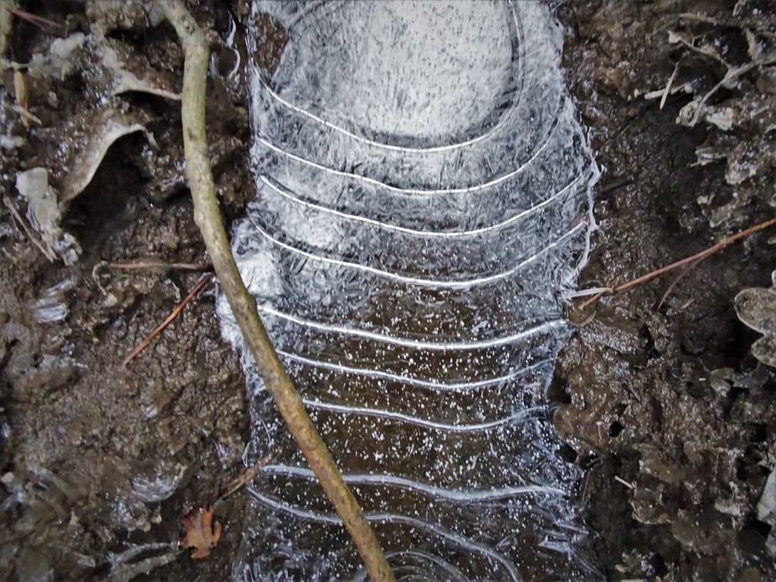 DSC02407.thumb.JPG.6e211fa89b84c8750aacd18b3c48bc4b.JPG