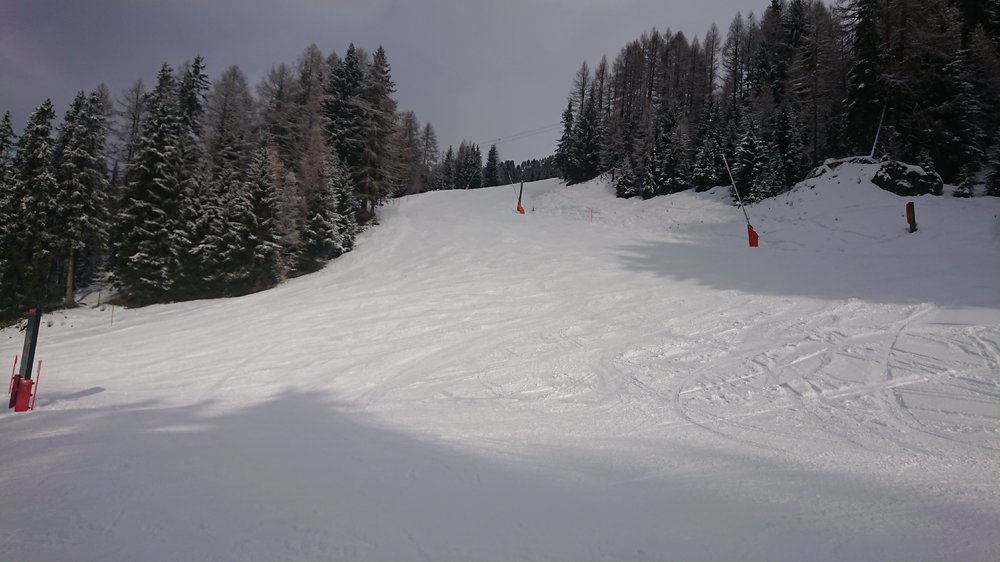 DSC_1676.JPG