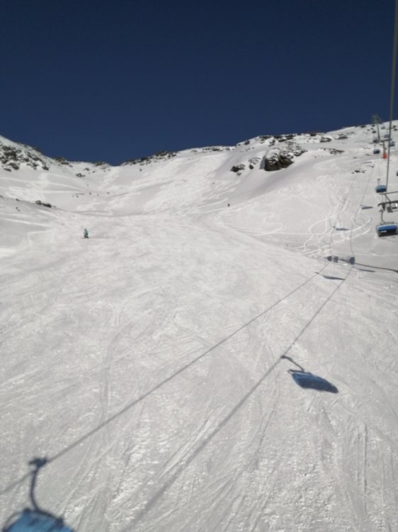 IMG_20191203_122240.jpg