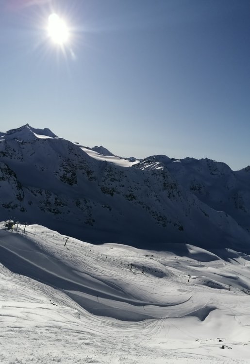 IMG_20191204_123049.jpg