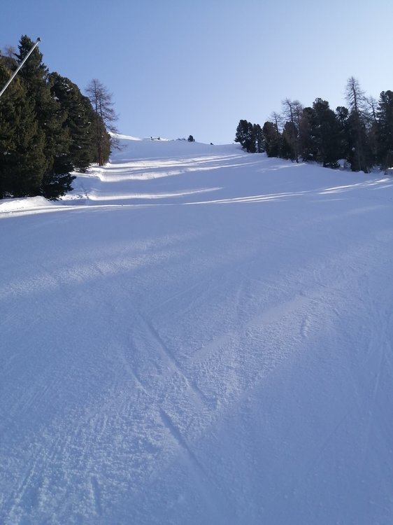 IMG_20191206_103519.jpg