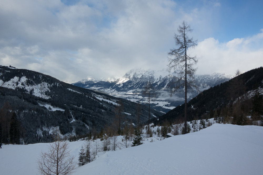 IMG_3971.jpg