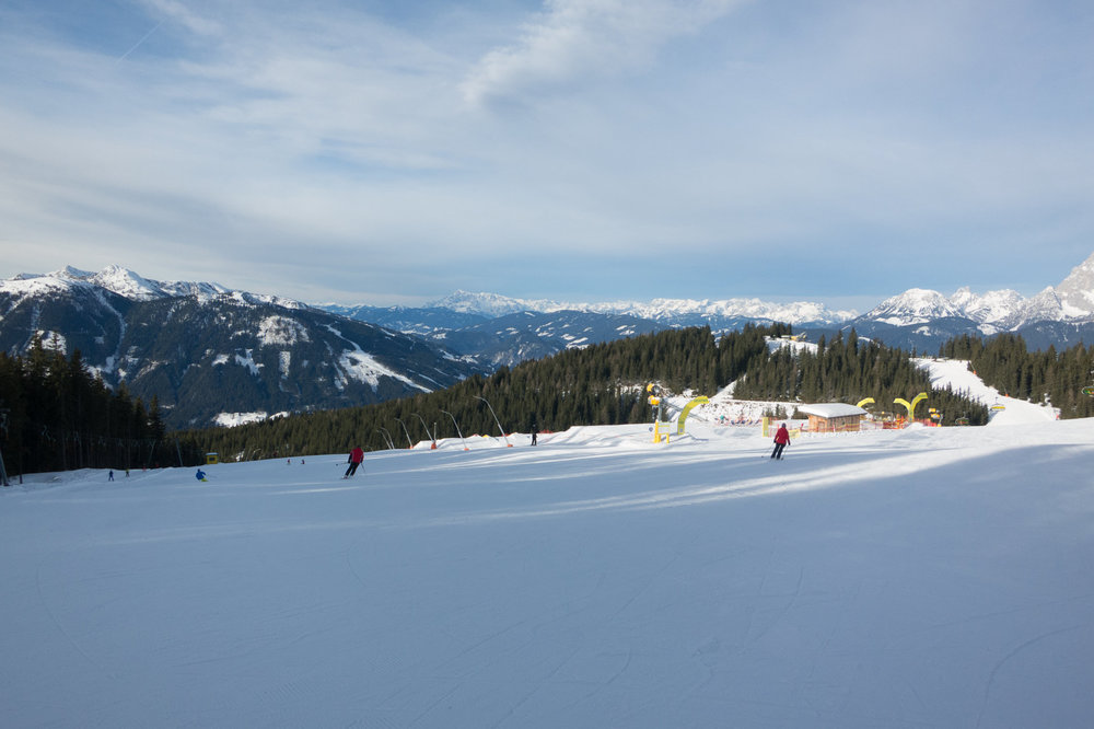 IMG_4268.jpg