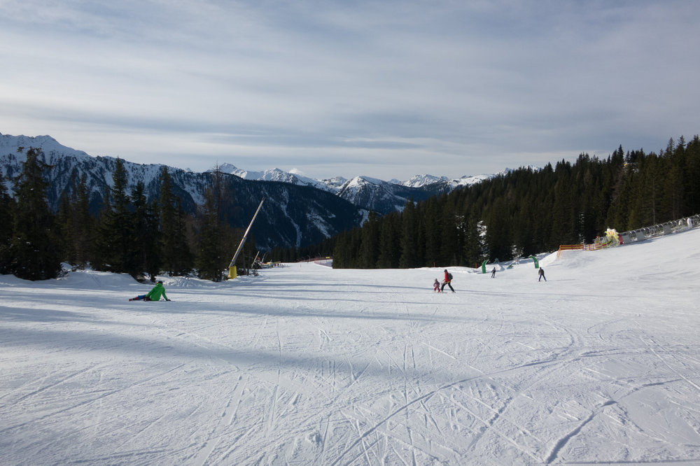 IMG_4292.jpg