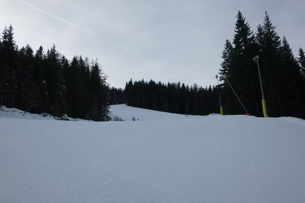 IMG_4388.jpg