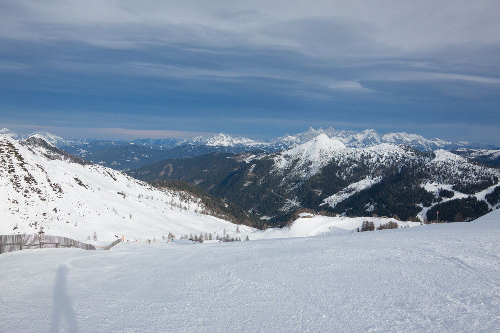 IMG_4554.jpg