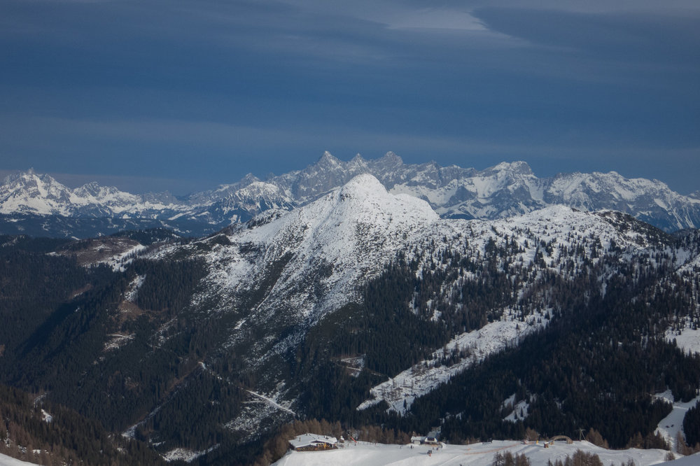 IMG_4555.jpg