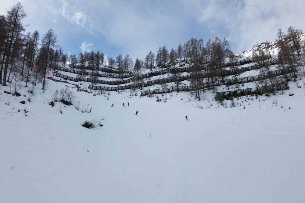 IMG_4577.jpg