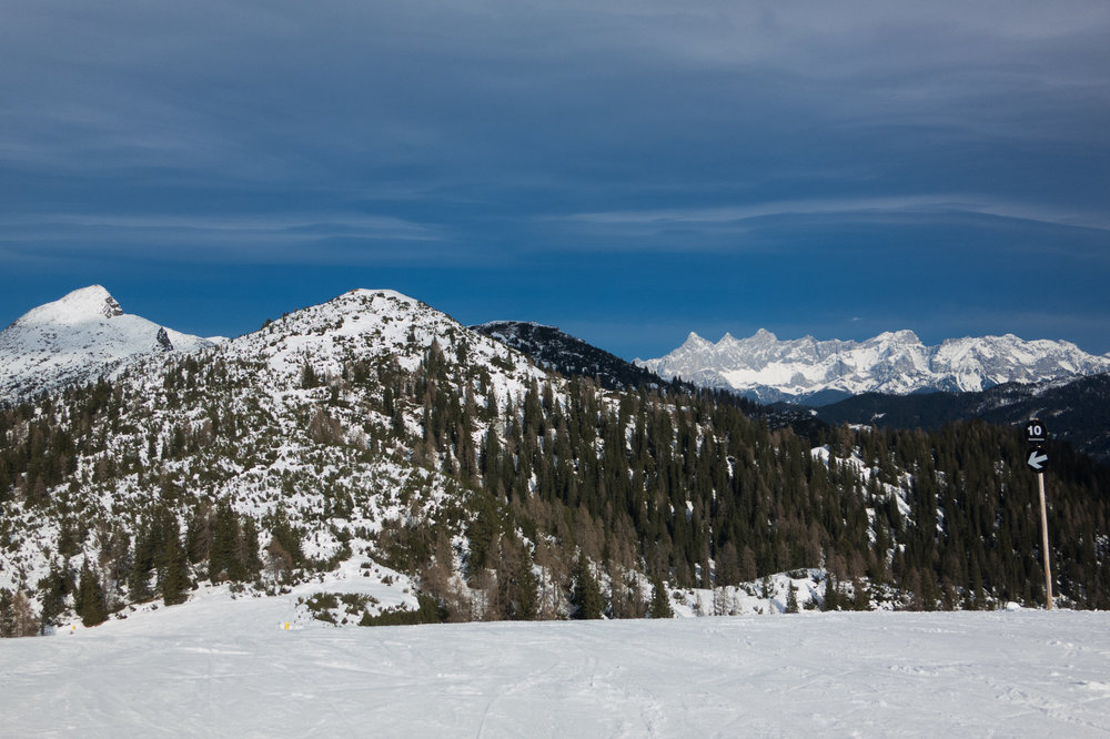 IMG_4583.jpg