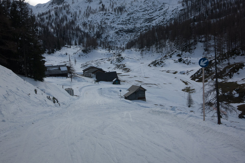 IMG_4611.jpg