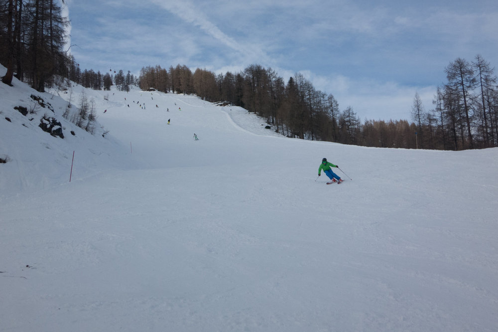 IMG_4650.jpg