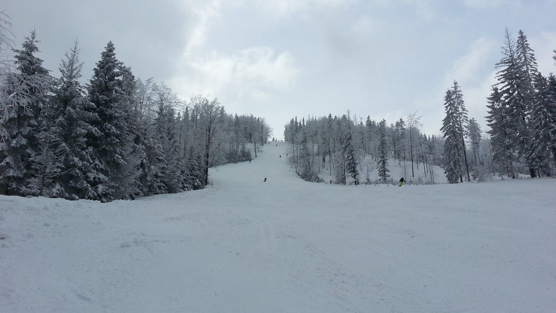 20130407_104535.jpg