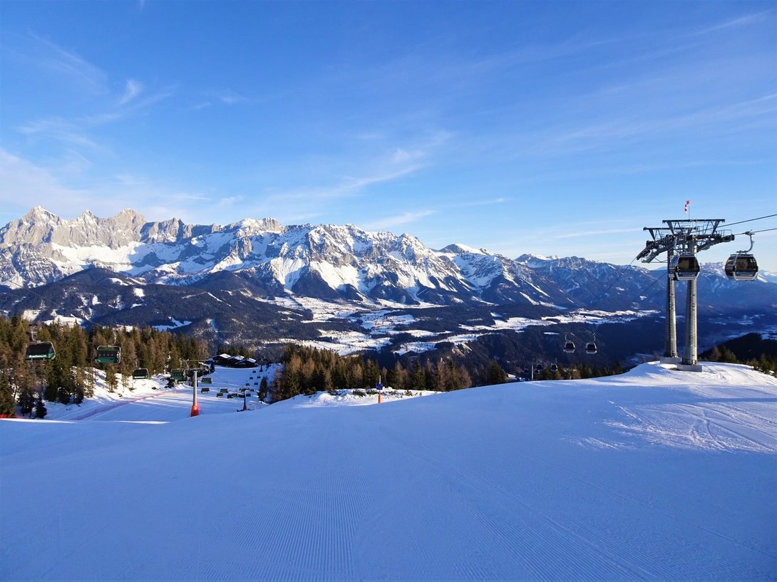 DSC03371.thumb.JPG.df097dbedf21f9a2711ff38db2b49e54.JPG