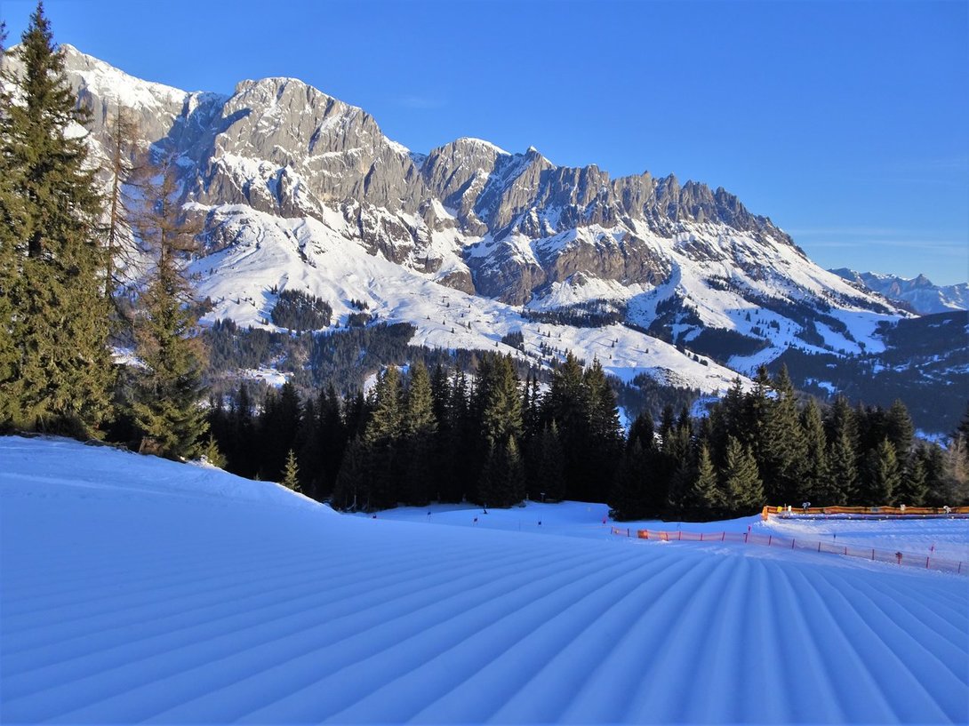 DSC03721.thumb.JPG.bc79ca873d2c520e6db1cead2f205d02.JPG