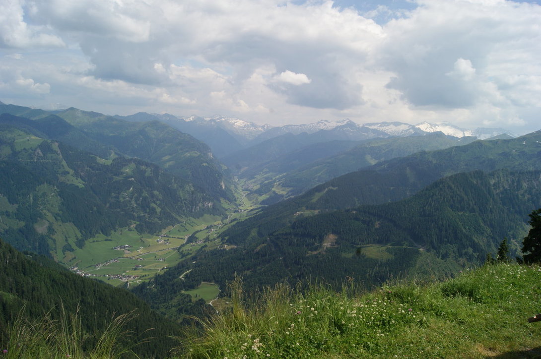 DSC09695.thumb.JPG.6764e84c31bae9c325a18401323c9b99.JPG