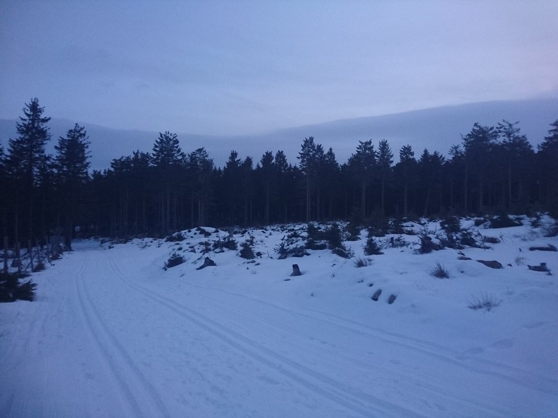 DSC_4033.JPG