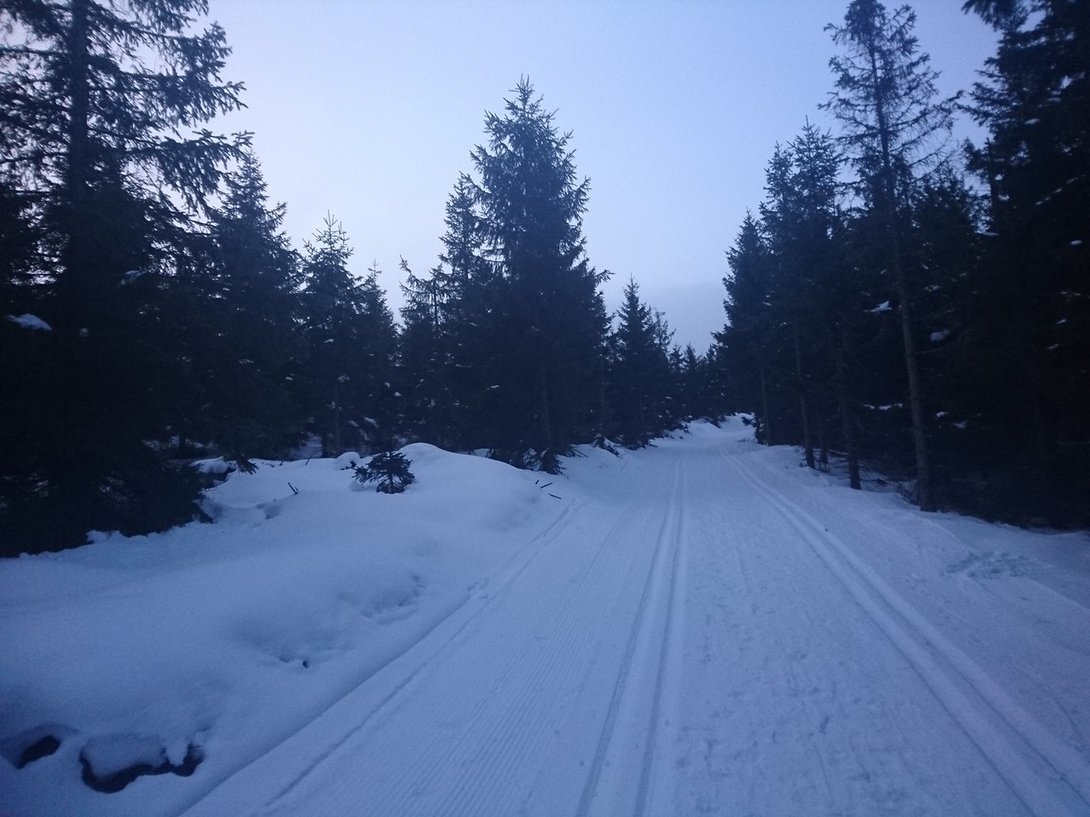 DSC_4036.JPG