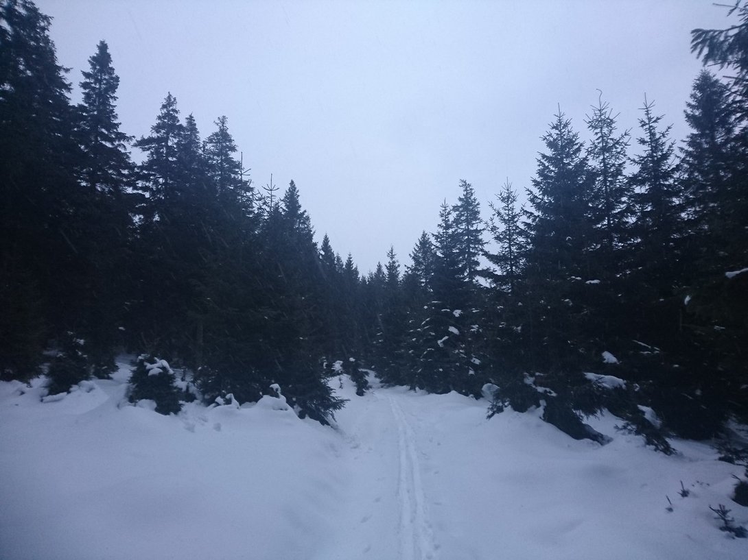 DSC_4043.JPG