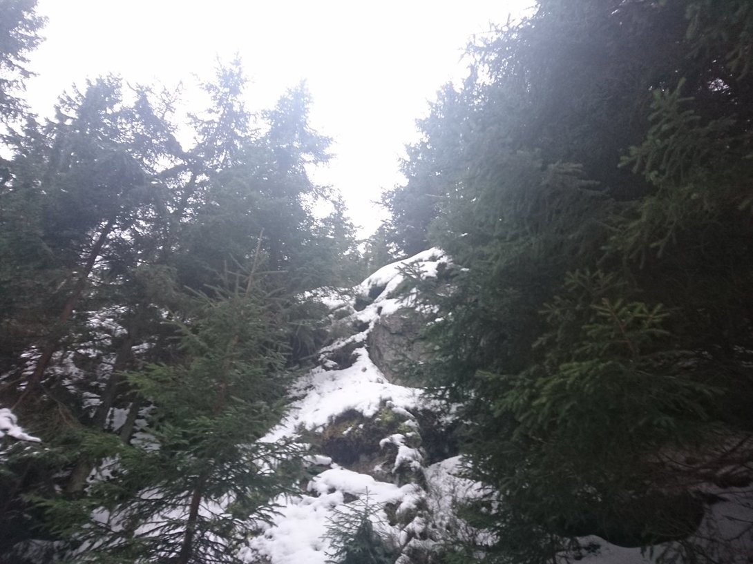 DSC_4048.JPG