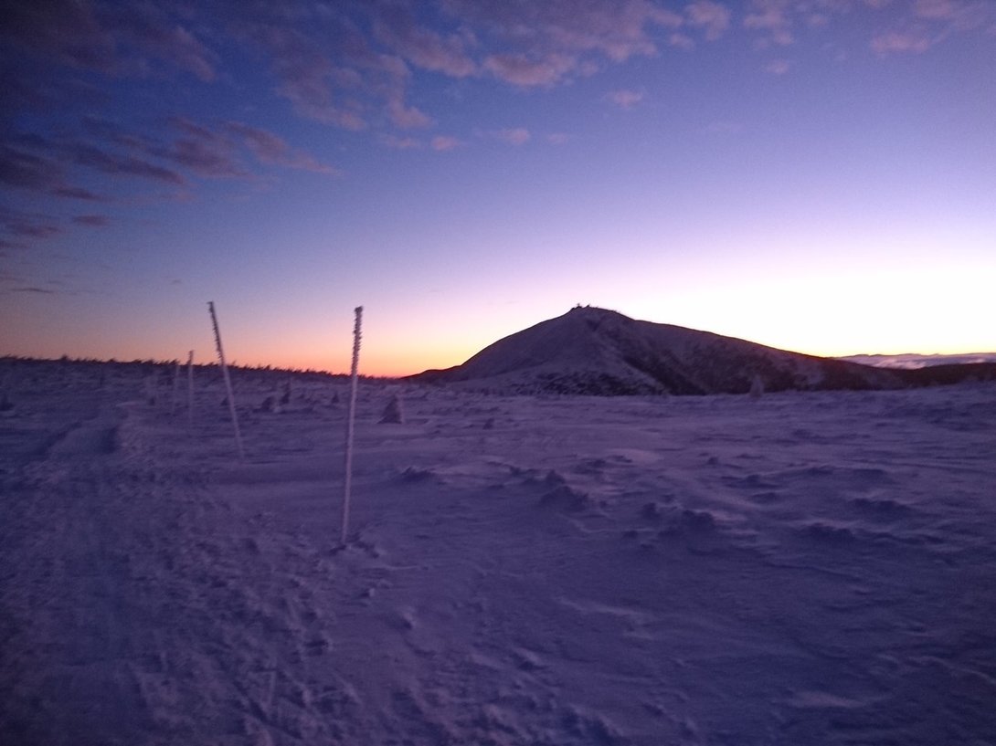 DSC_9092.JPG