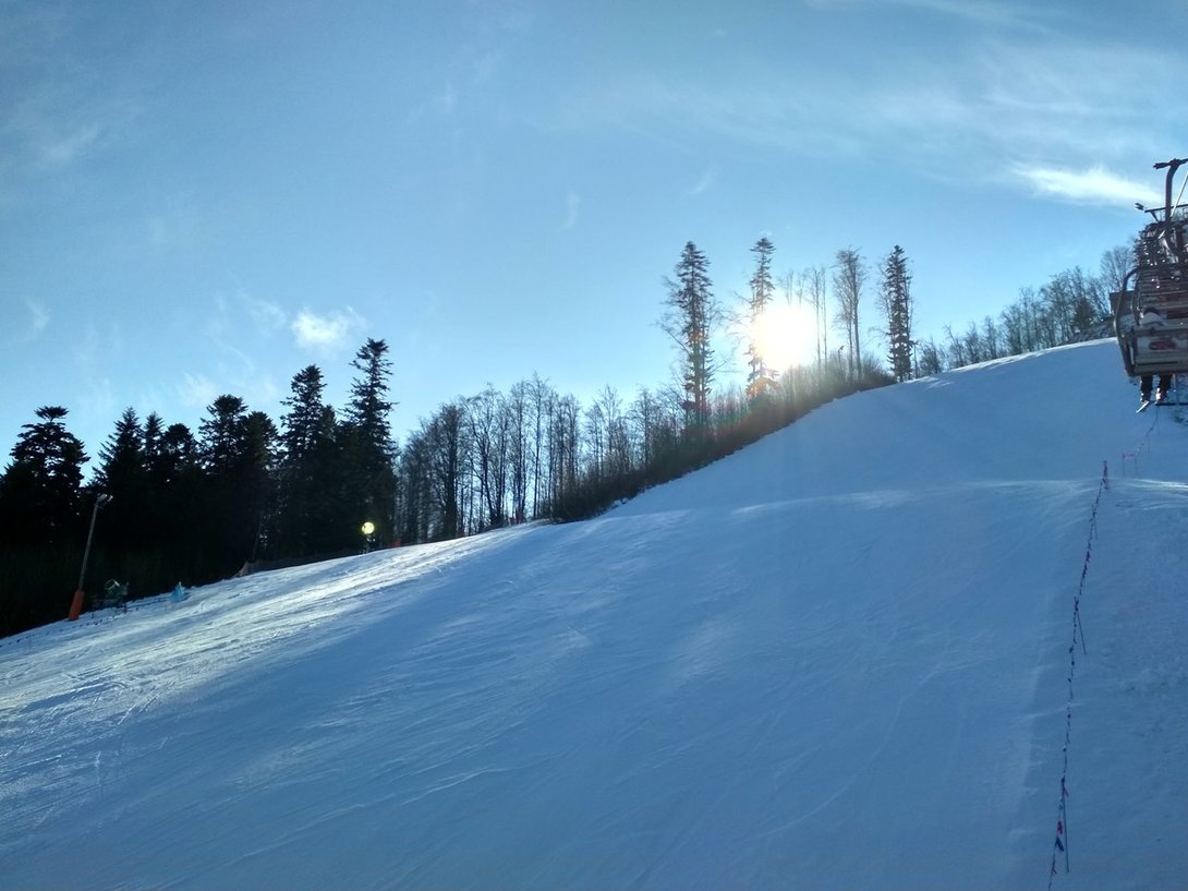 IMG_20200117_113538_HDR.thumb.jpg.131bf31ac30a70e18b7a08b7bcd19cda.jpg