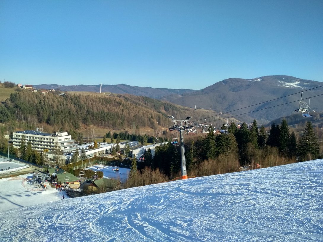 IMG_20200124_115642_HDR.thumb.jpg.a53ed545ce650aae4be279e0263b8b78.jpg