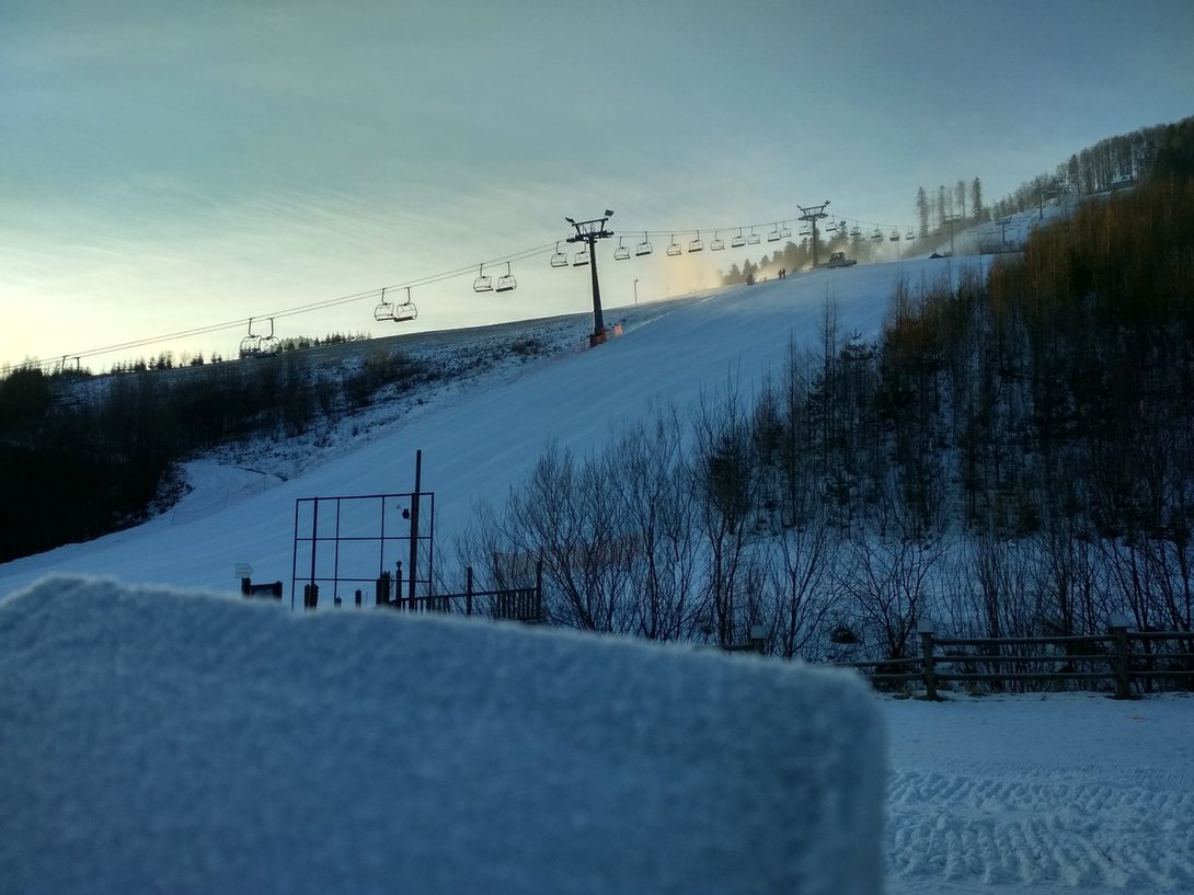 IMG_20200125_082429_HDR.thumb.jpg.cf883b5da47de52d905f69cdc9a5c7c8.jpg