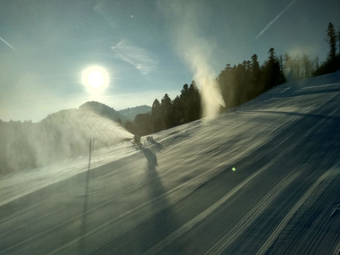 IMG_20200125_090331_HDR.thumb.jpg.fbd07218befaacea771417038923968c.jpg