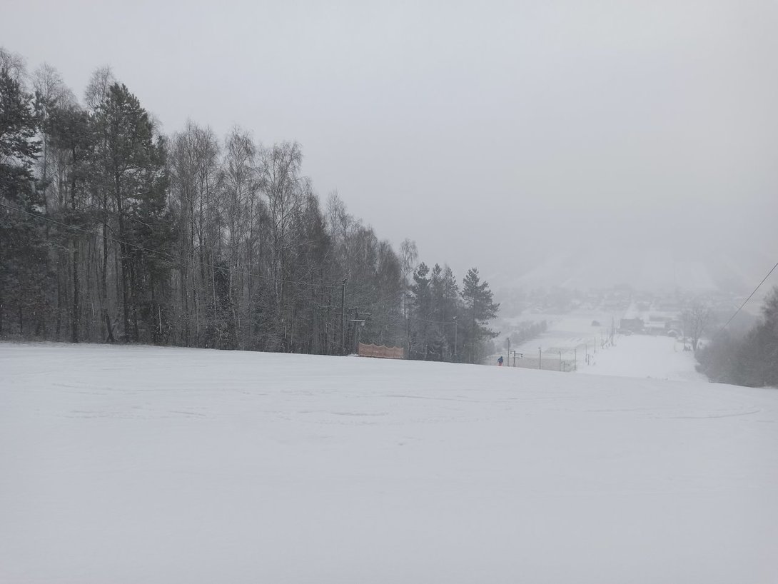 IMG_20200129_105401.jpg