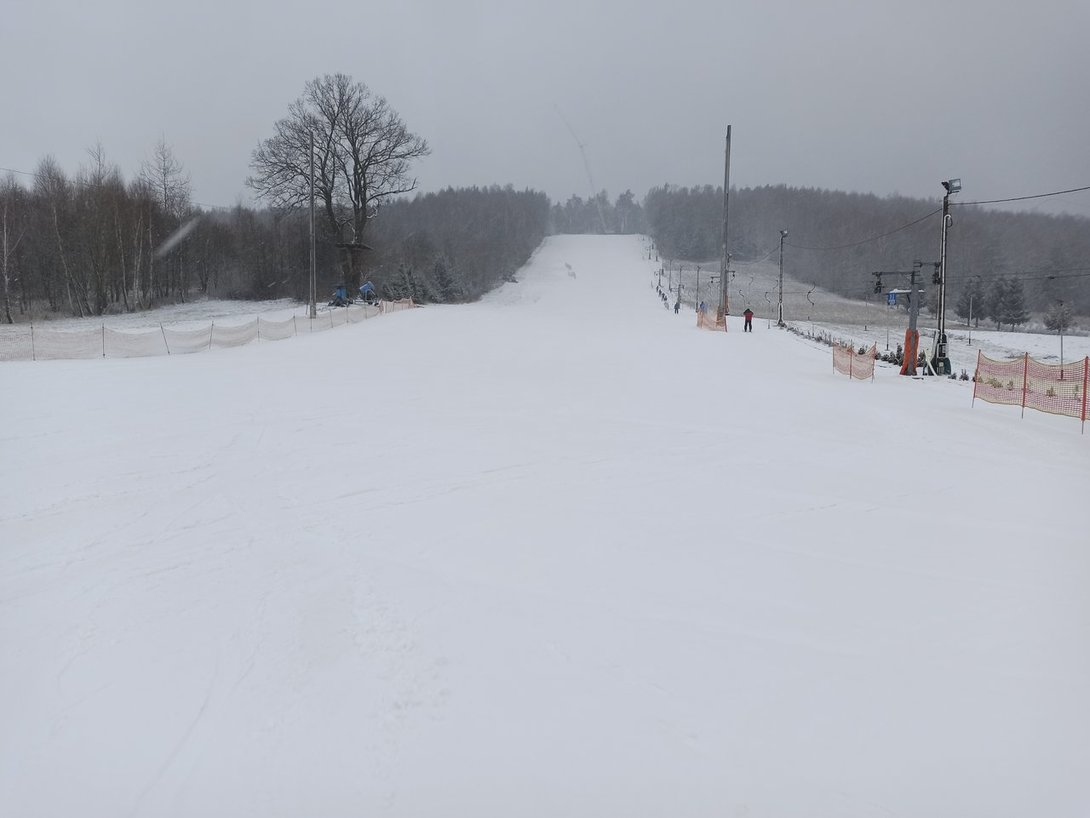 IMG_20200129_110454.jpg