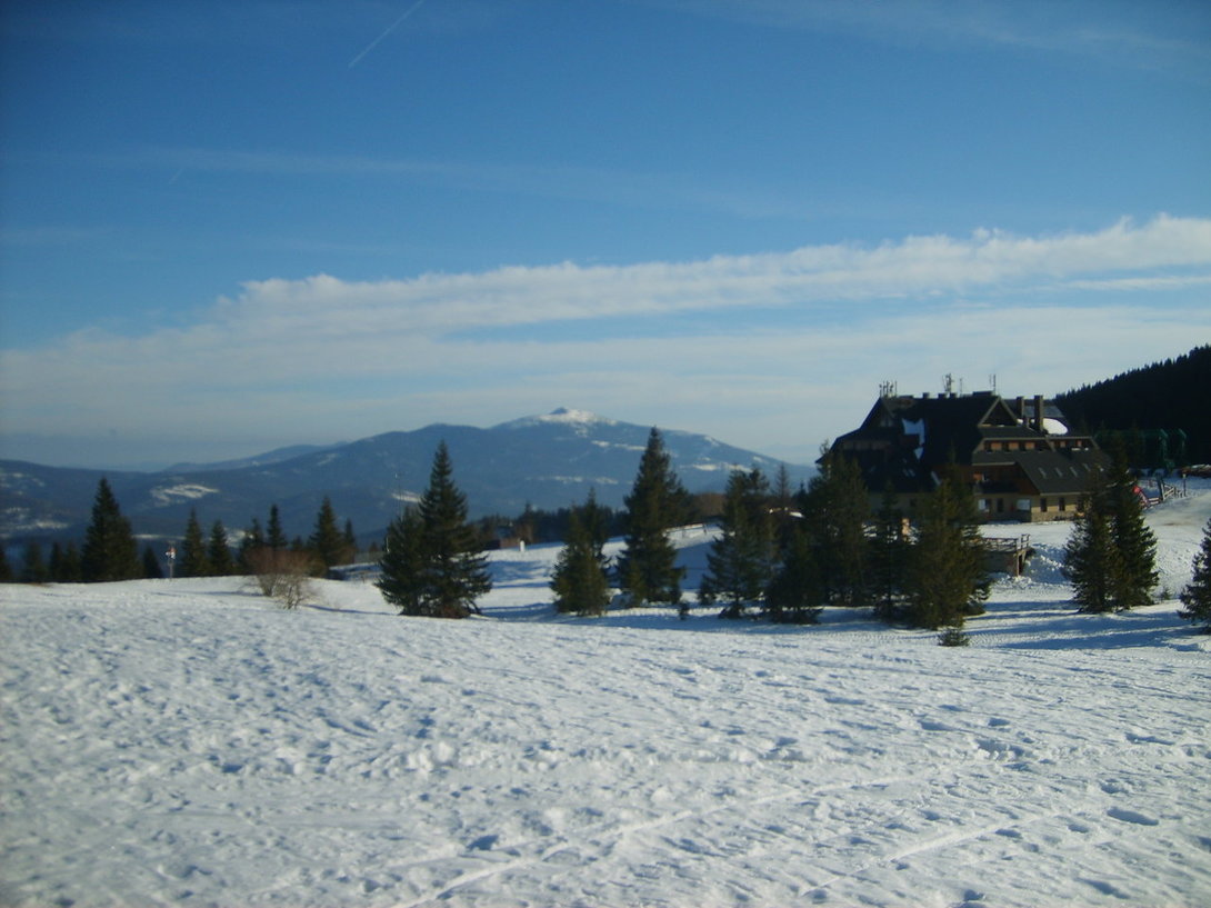S5003524.JPG