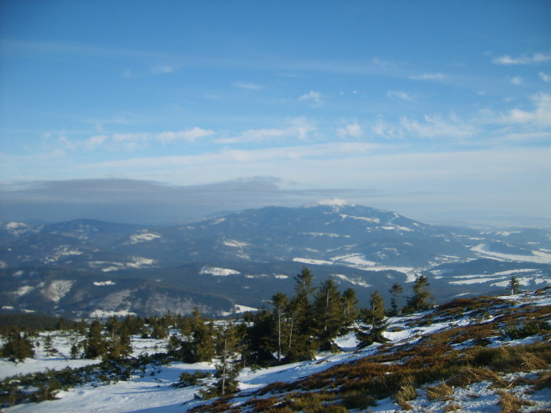 S5003525.JPG