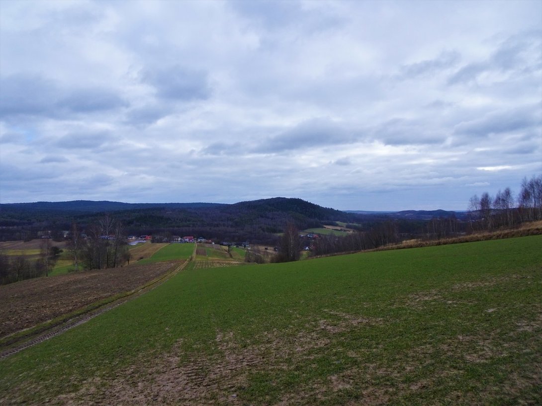 DSC04105.thumb.JPG.5f2959ef792486910787ff7d1ba68ea4.JPG