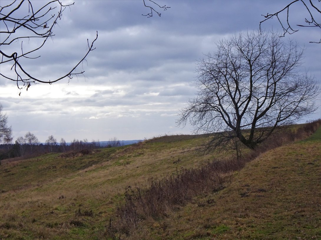 DSC04109.thumb.JPG.539f3d5f027ed80d443f62d01cf14945.JPG