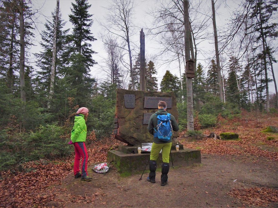 DSC04182.thumb.JPG.826e68bcb759d57816b3436c9826aab3.JPG