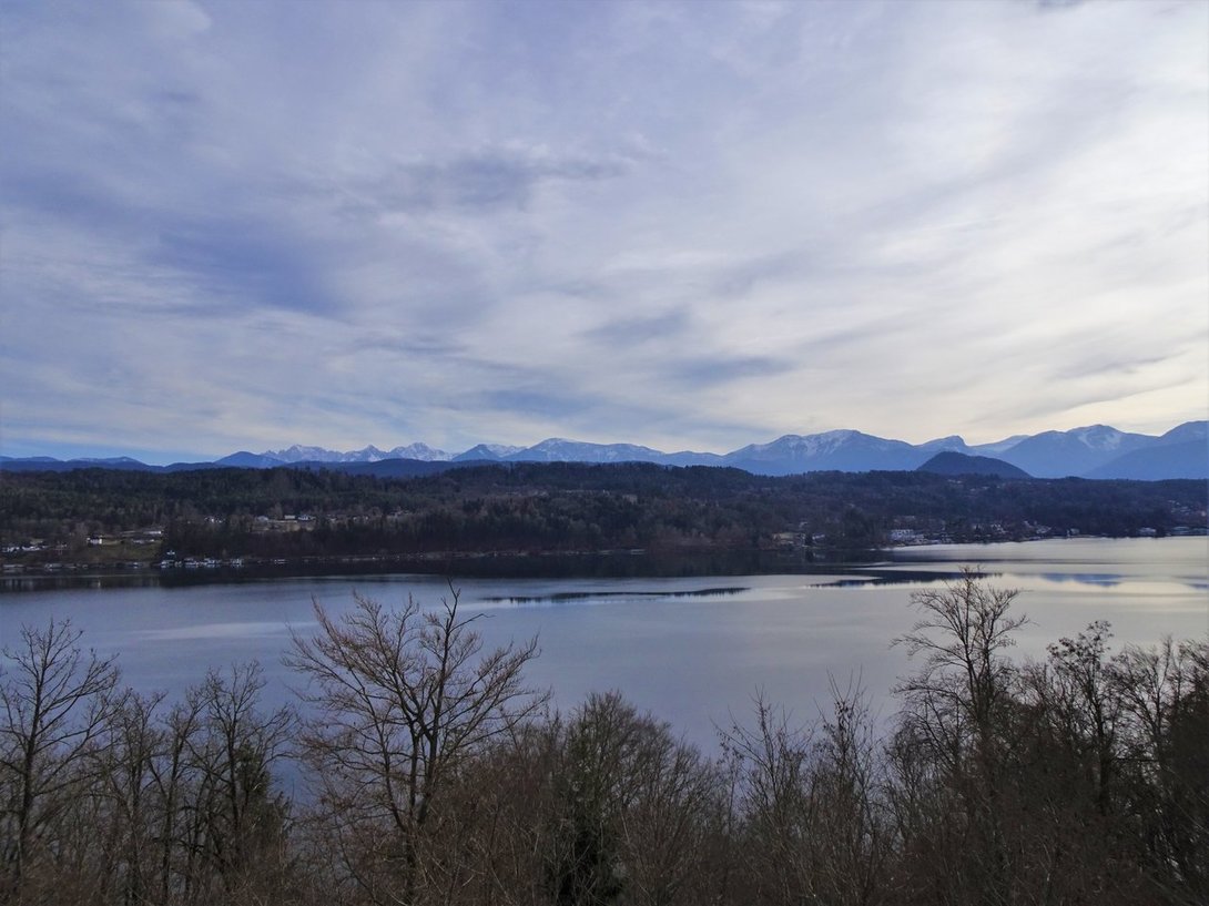 DSC04275.thumb.JPG.886d4586f61c9a38f401cf5f460df75d.JPG