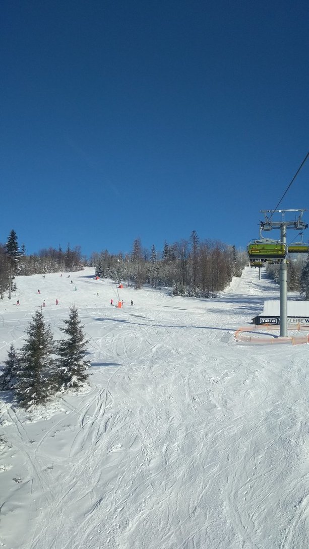 IMG_20200208_144027.jpg