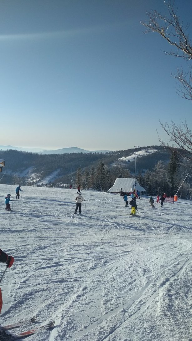 IMG_20200208_145041.jpg