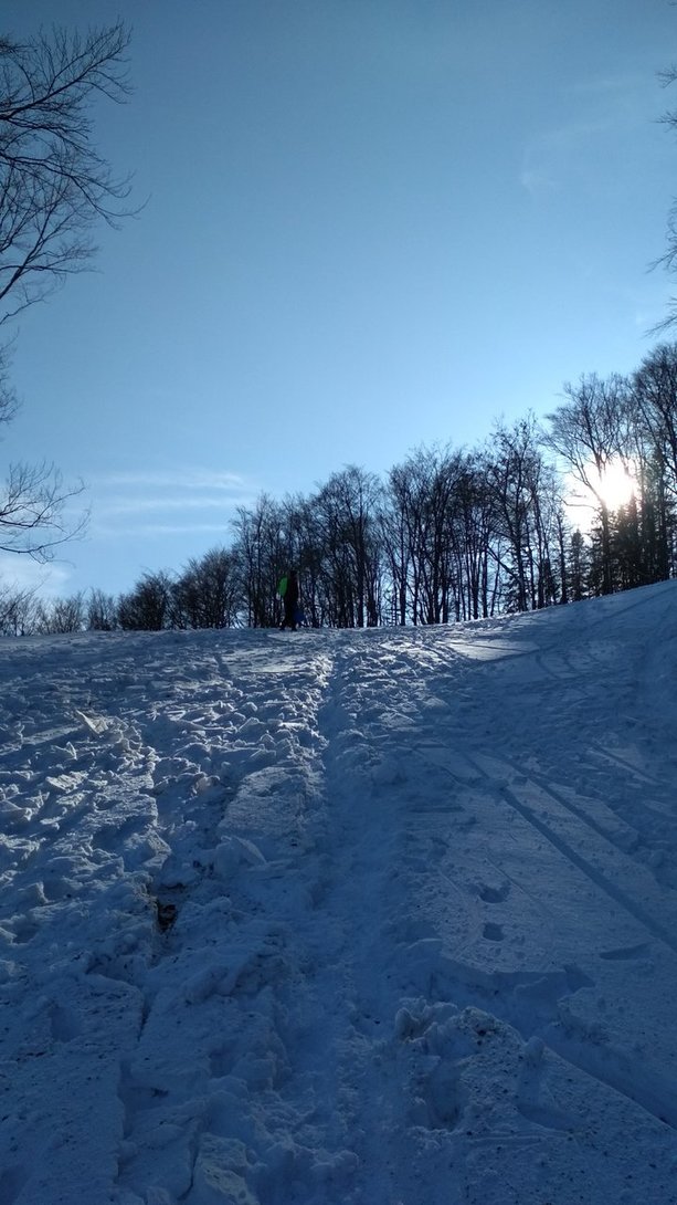 IMG_20200209_134115.jpg