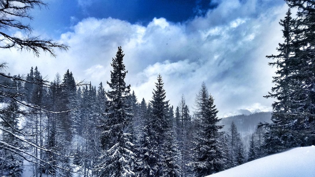 IMG_20200211_111917051_HDR-01.thumb.jpeg.91dfb044209d01b5194bf91363e781c8.jpeg