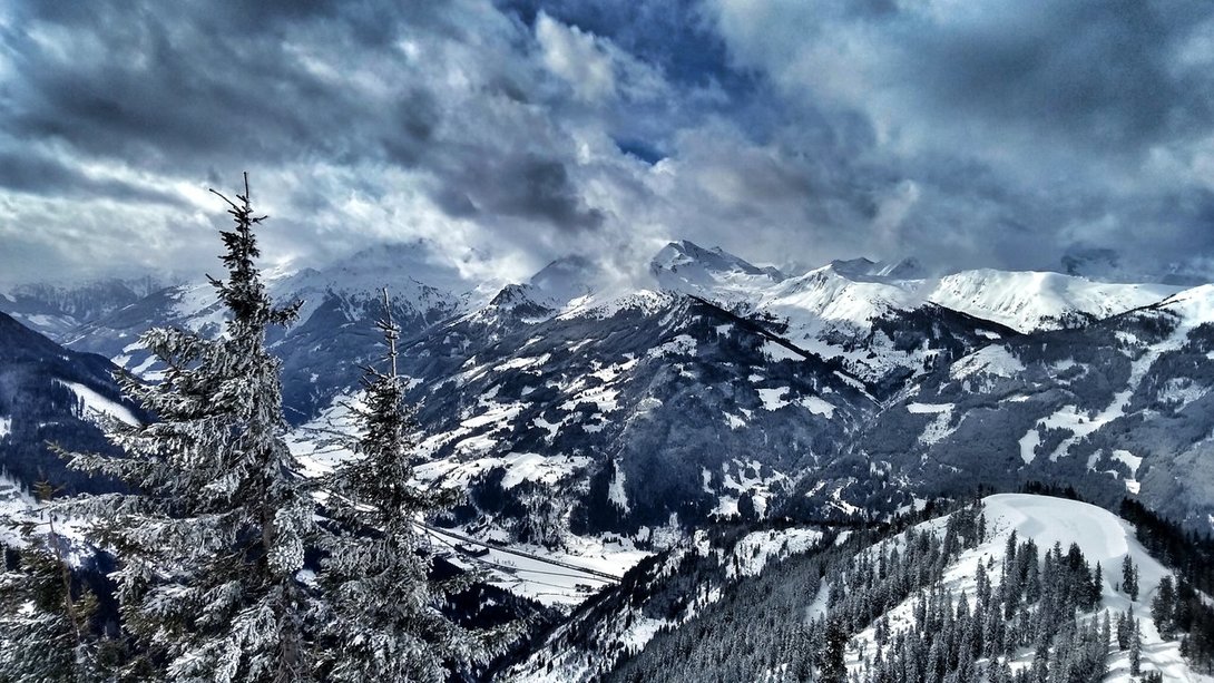 IMG_20200212_122846901_HDR-01.thumb.jpeg.956fe1d25a44574c01b7edf125e55cf6.jpeg
