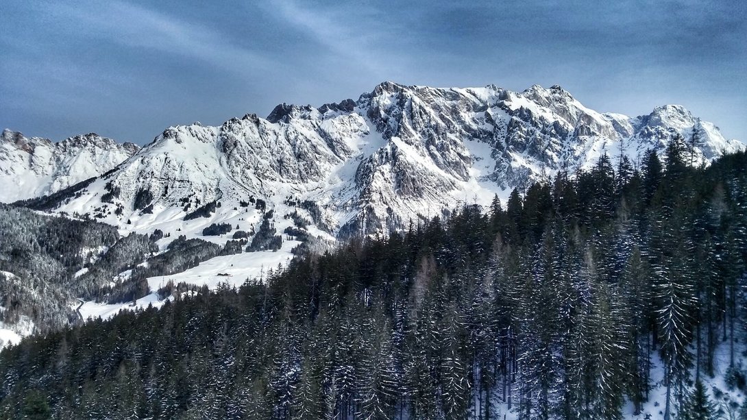 IMG_20200213_095050440_HDR-01.thumb.jpeg.b7136d823346860351da5fa0054d6724.jpeg