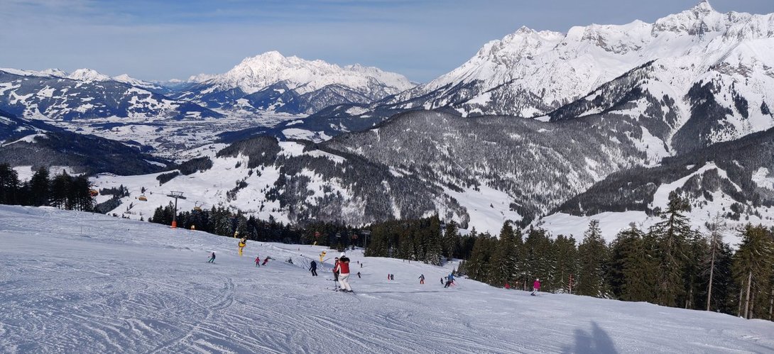 IMG_20200213_101206.thumb.jpg.206924588f49b4ae436d64ec3d80d05e.jpg