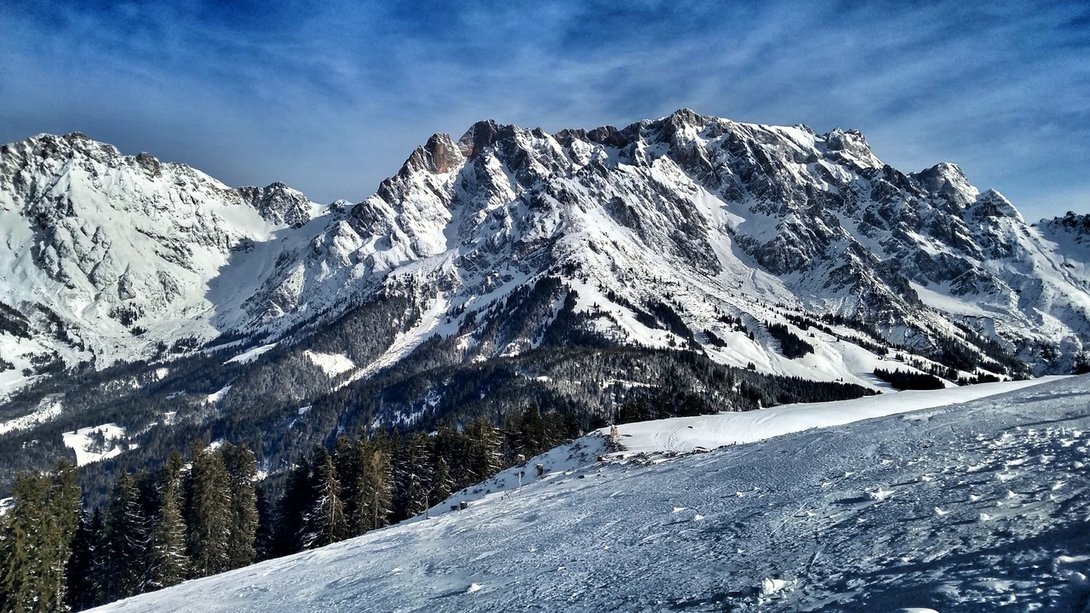 IMG_20200213_103523731_HDR-01.thumb.jpeg.30fc17299241162121c414aac13d77a8.jpeg