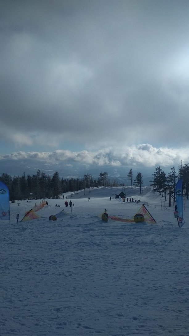 IMG_20200213_120210.jpg