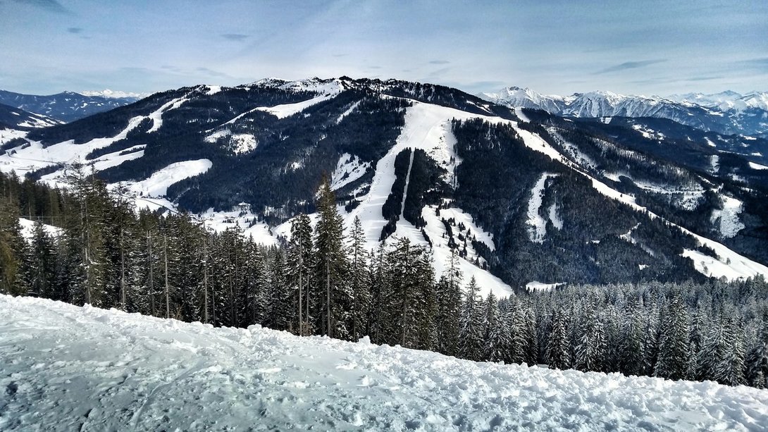IMG_20200213_143116420_HDR-01.thumb.jpeg.b13d8f4dffbe5413aa879ebe50d37313.jpeg