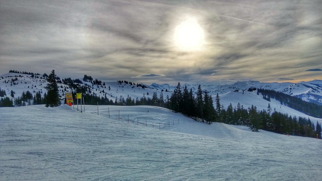 IMG_20200213_155628664_HDR-01.thumb.jpeg.ee9da8ef4ba559ffc360b0324c9c5024.jpeg